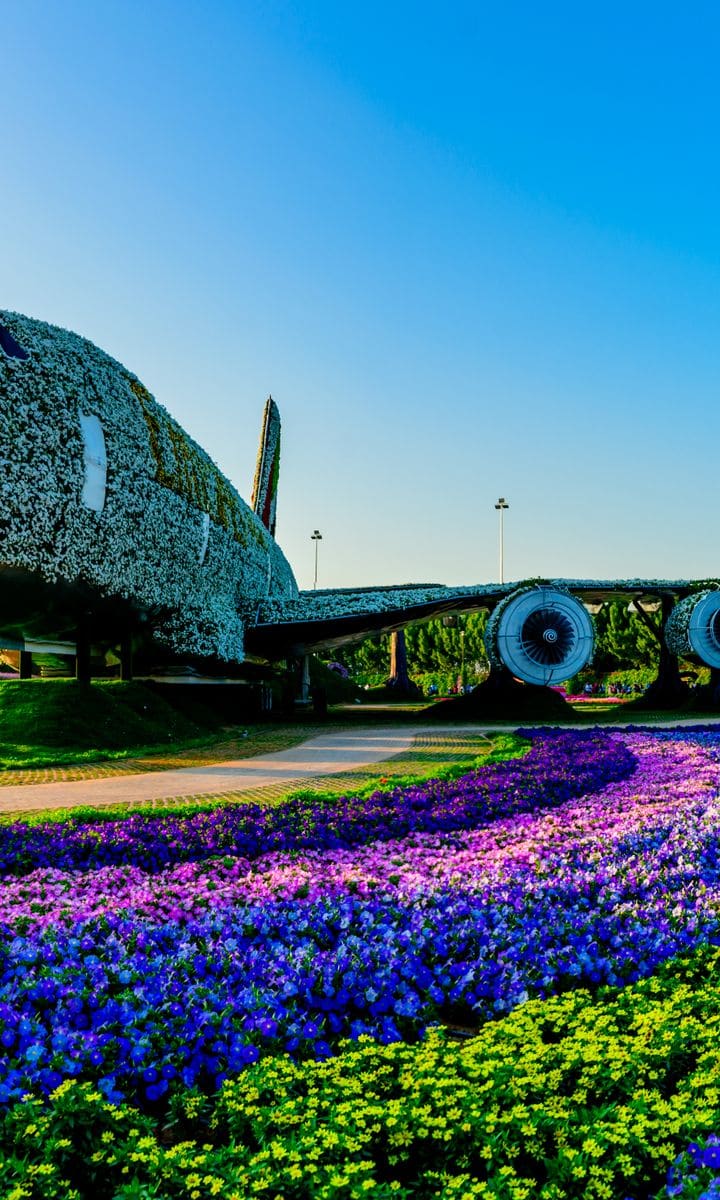 Літак Emirates A380 у квітах у Dubai Miracle Garden
